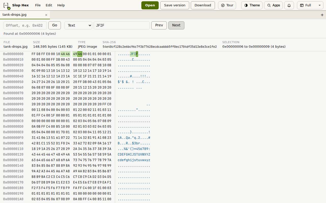 Slop Hex with a JPEG open and the text JFIF found at offset 0x00000006, highlighted in the hex and text columns